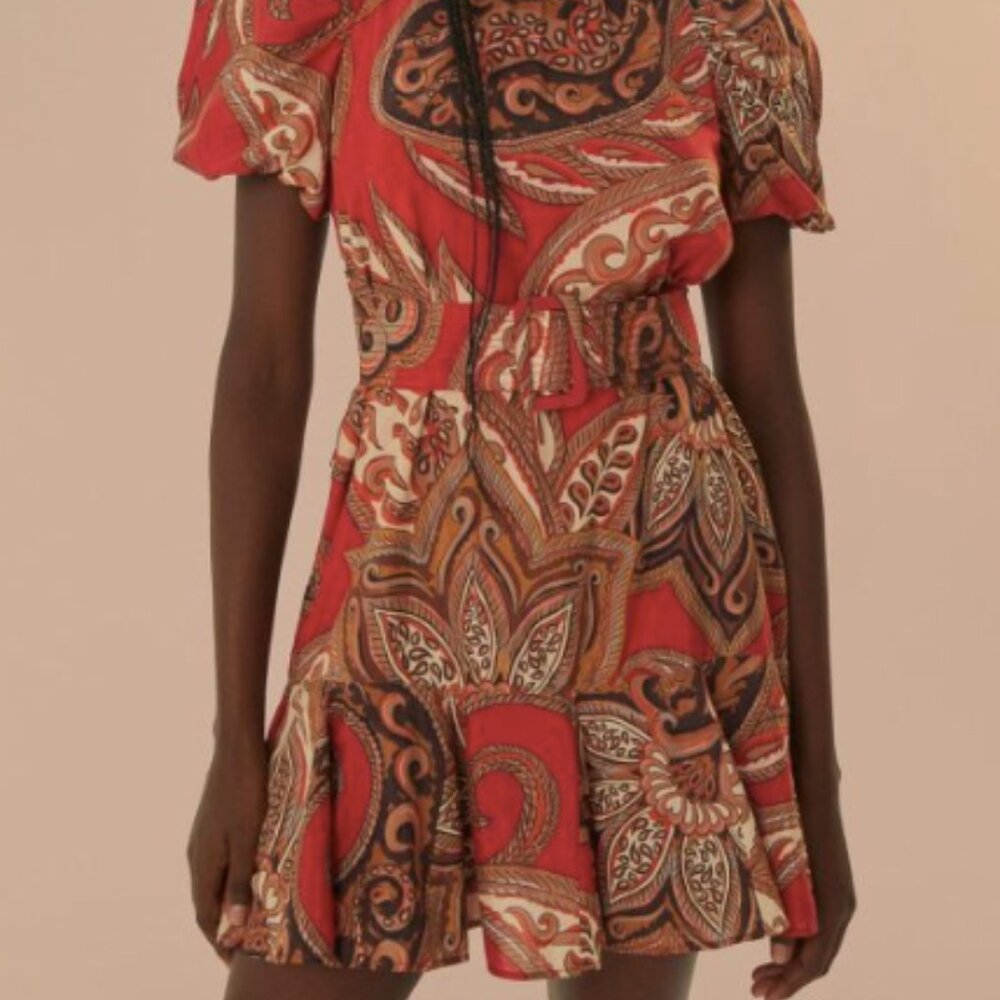 Farm Rio Leopard Paisley Burgundy Mini dress